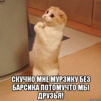  скучно мне мурзику без барсика потомучто мы друзья!