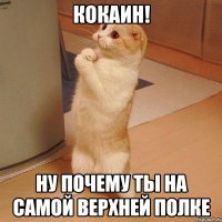 кокаин! ну почему ты на самой верхней полке