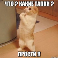 что ? какие тапки ? прости !!