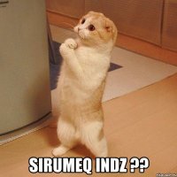  sirumeq indz ??