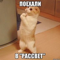 поехали в "рассвет"