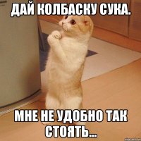 дай колбаску сука. мне не удобно так стоять...