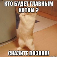 кто будет главным котом ? сказите позяяя!