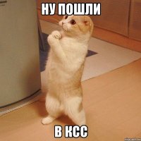 ну пошли в ксс