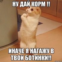 ну дай корм !! иначе я нагажу в твои ботинки!!