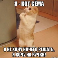 я - кот сёма я не хочу ничего решать, я хочу на ручки!