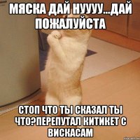 мяска дай нуууу...дай пожалуйста стоп что ты сказал ты что?перепутал китикет с вискасам