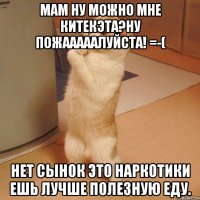 мам ну можно мне китекэта?ну пожааааалуйста! =-( нет сынок это наркотики ешь лучше полезную еду.