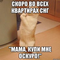 скоро во всех квартирах снг "мама, купи мне оскуро!"