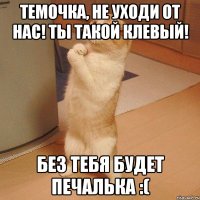 темочка, не уходи от нас! ты такой клевый! без тебя будет печалька :(