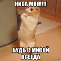 киса моя!!! будь с мисой всегда