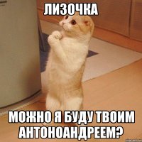 лизочка можно я буду твоим антоноандреем?