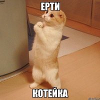 ерти котейка