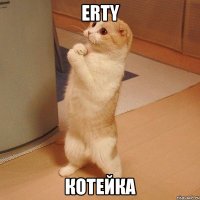 erty котейка