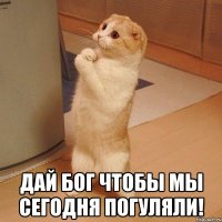  дай бог чтобы мы сегодня погуляли!