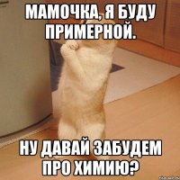 мамочка, я буду примерной. ну давай забудем про химию?