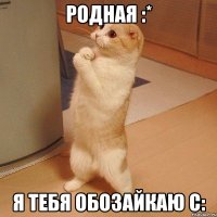 родная :* я тебя обозайкаю с: