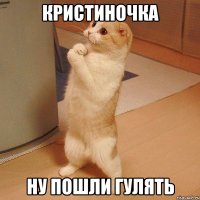 кристиночка ну пошли гулять