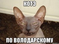 котэ по володарскому