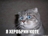 я херобрин коте