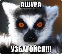 ашура узбагойся!!!