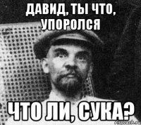 давид, ты что, упоролся что ли, сука?