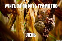 учиться писать грамотно лень