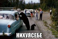  нихуясебе