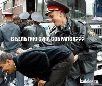  В Бельгию сука собрался??? 