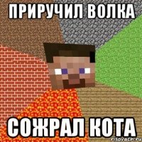 приручил волка сожрал кота