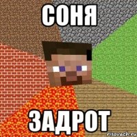 соня задрот