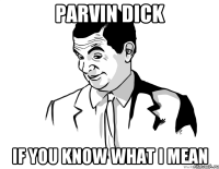 parvin dick if you know what i mean