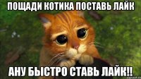 пощади котика поставь лайк ану быстро ставь лайк!!