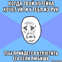 когда твой котейка хочет уйти у тебя из рук тебе прийдется отпустить его если любишь