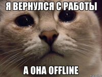 я вернулся с работы а она offline