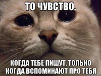 то чувство, когда тебе пишут, только когда вспоминают про тебя