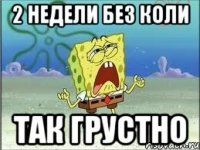 2 недели без коли так грустно