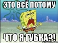 это всё потому что я губка?!