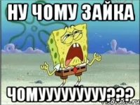 ну чому зайка чомууууууууу???