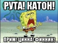 рута! катон! прим! цинна! финник!