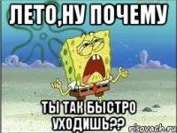 лето,ну почему ты так быстро уходишь??