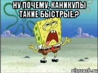 ну почему, каникулы такие быстрые.? 