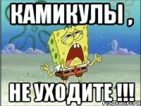 камикулы , не уходите !!!