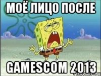 моё лицо после gamescom 2013