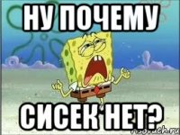 ну почему сисек нет?