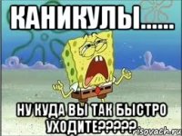 каникулы...... ну куда вы так быстро уходите???