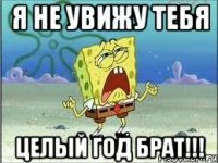 я не увижу тебя целый год брат!!!