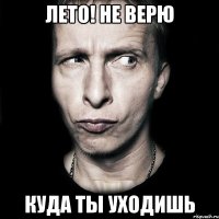 лето! не верю куда ты уходишь