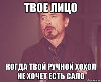 твое лицо когда твой ручной хохол не хочет есть сало