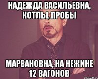 надежда васильевна, котлы, пробы марвановна, на нежине 12 вагонов